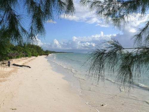 Pakachi Beach Hotel and Resort image 4